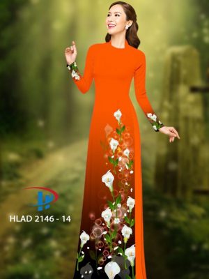 1649817319 vai ao dai dep (17)
